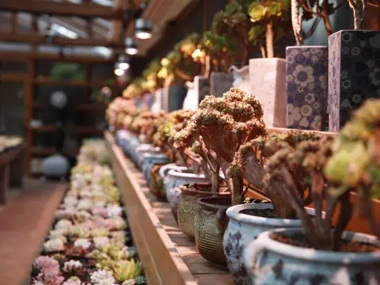 Пекин: Beijing Yiwaiting Japanese-style private soup homestay