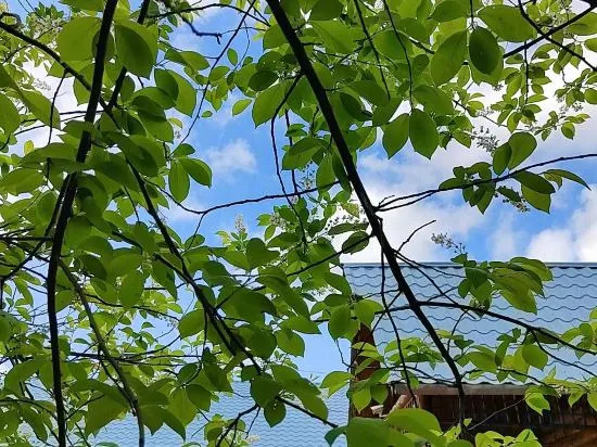 Хулун-Буир: Erguna Shiweituden Homestay