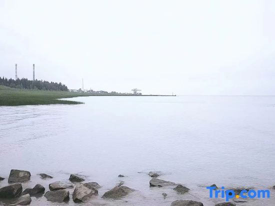 Шанхай: Shanghai Yuantao Homestay