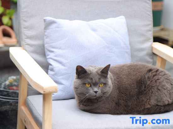 Шангри-Ла: Shangri-La City Aji Hongshi Fuju Homestay