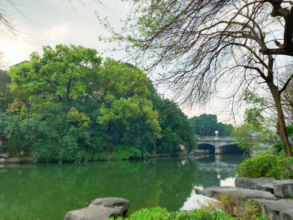 Гуйлинь: Bonjour Aroma Tea House
