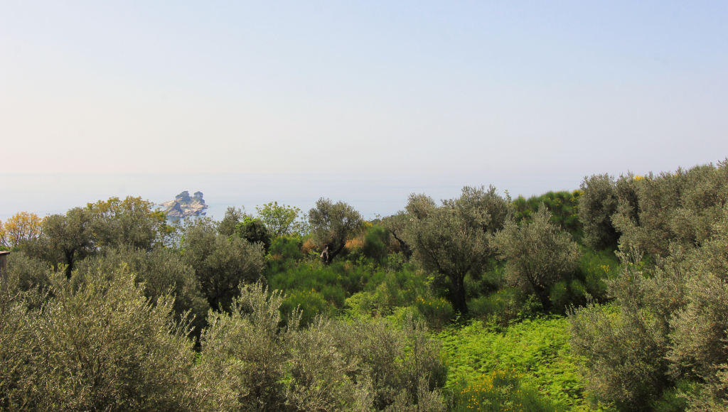 Петровац: Апартаменты Romantic sea view apartment in Petrovac