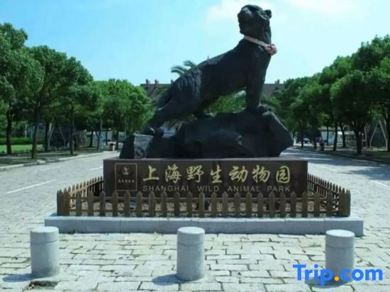Шанхай: Home Inn (Shanghai Fengcheng Wahong Road)
