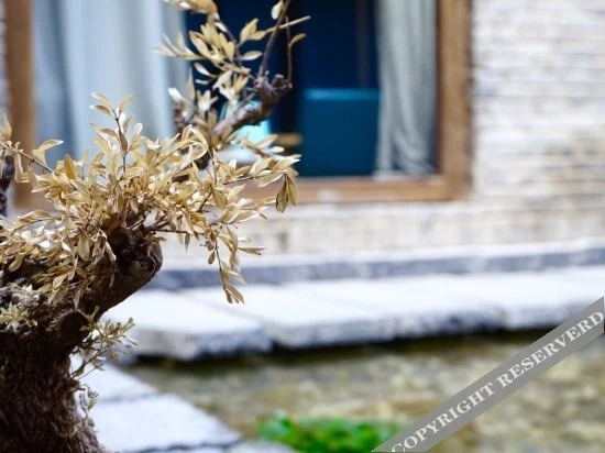 Шангри-Ла: Black and White Tibetan Culture Boutique Inn