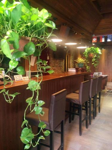 Цзиндэчжэнь: Xiao Lv Youth Hostel Jing De Town
