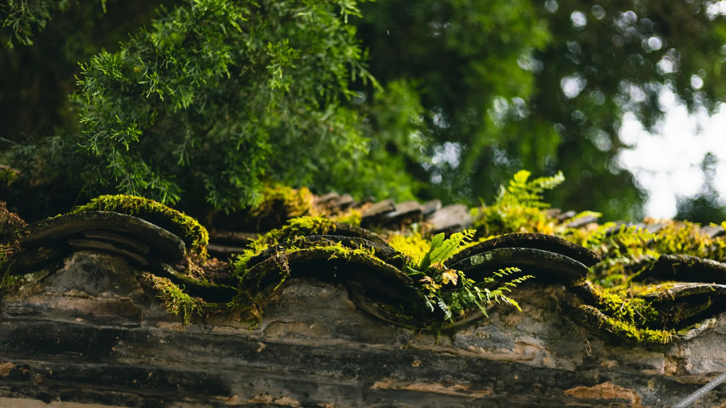 Хуаншань: Floral·Huangshan Xidi Zhuchuan Inn(Huangshan Xidi Scenic Spot)
