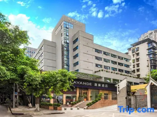 Чунцин: Lavande Hotel (Chongqing Nanping Pedestrian Street Wanda Plaza)