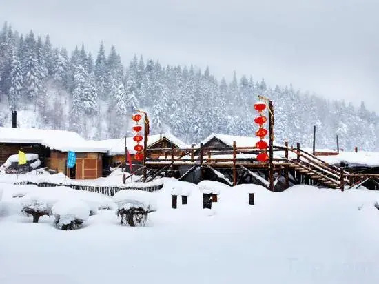 Харбин: Shengxue Lvyou Inn