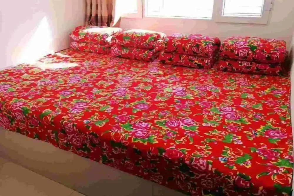 Харбин: Harbin Snow Gu Liang Li Family Hotel