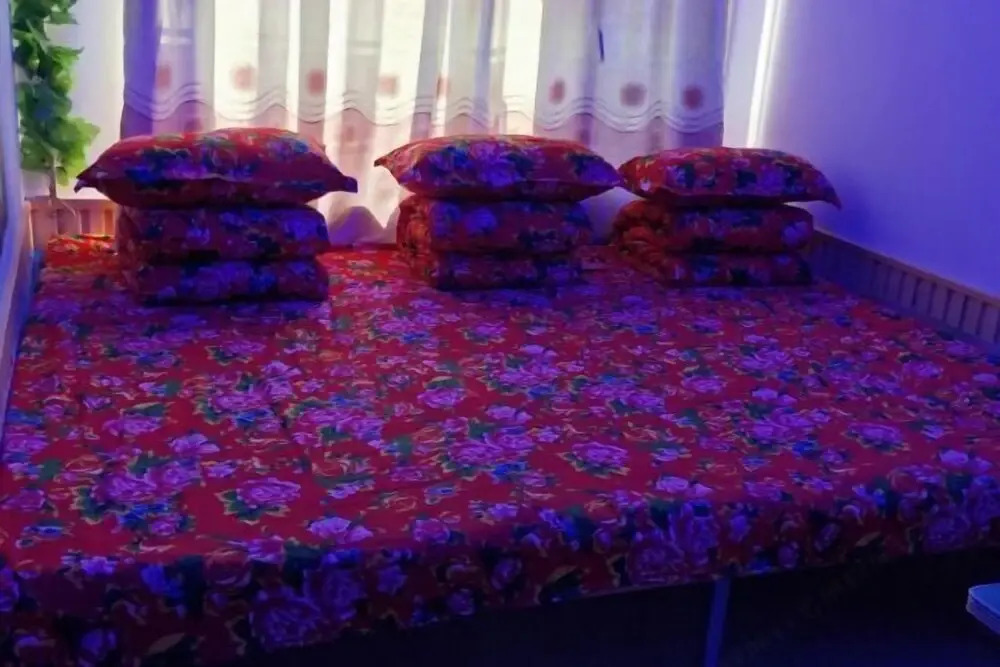 Харбин: Harbin Snow Gu Liang Li Family Hotel