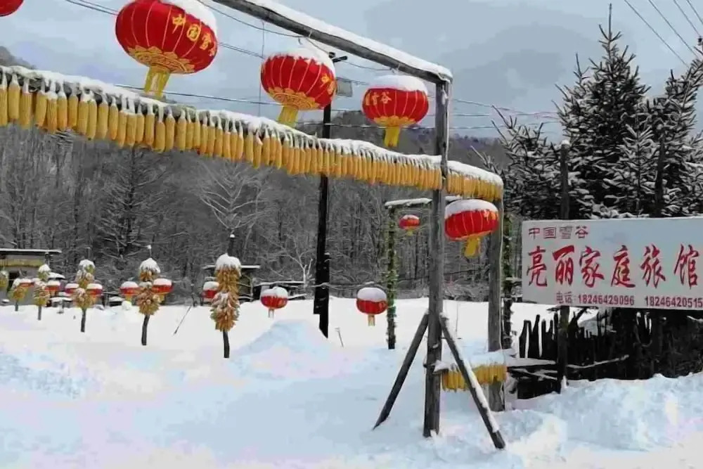 Харбин: Harbin Snow Gu Liang Li Family Hotel