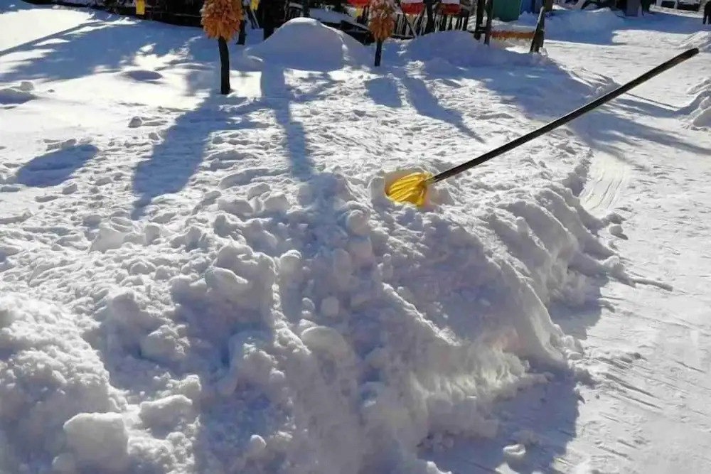 Харбин: Harbin Snow Gu Liang Li Family Hotel