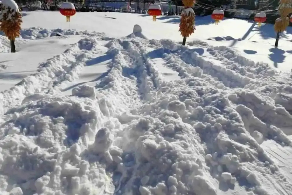Харбин: Harbin Snow Gu Liang Li Family Hotel