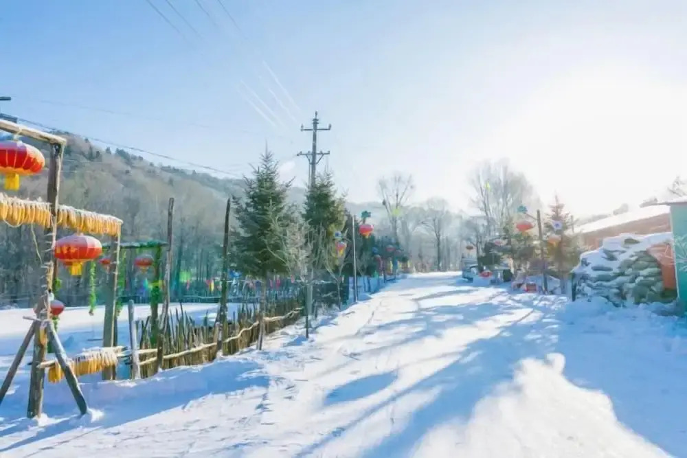 Харбин: Harbin Snow Gu Liang Li Family Hotel