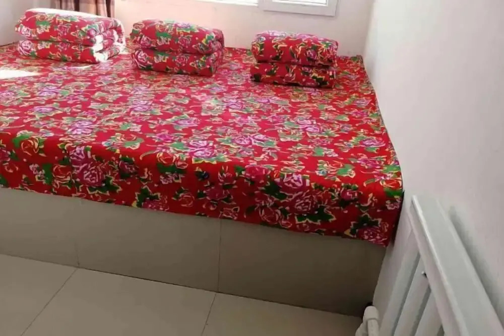 Харбин: Harbin Snow Gu Liang Li Family Hotel