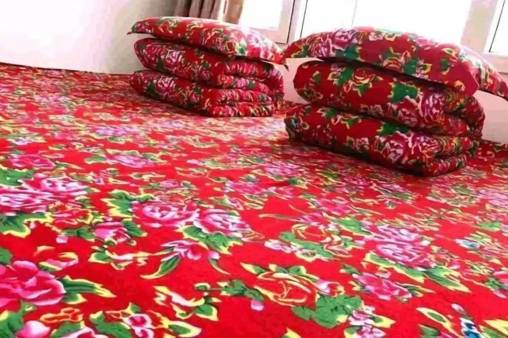 Харбин: Harbin Snow Gu Liang Li Family Hotel