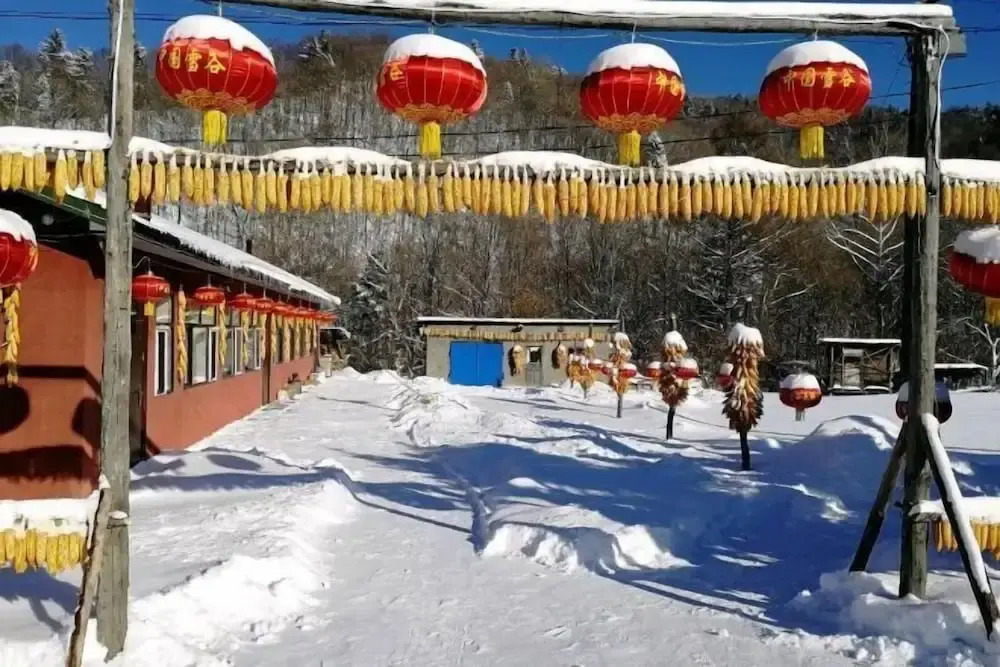 Харбин: Harbin Snow Gu Liang Li Family Hotel