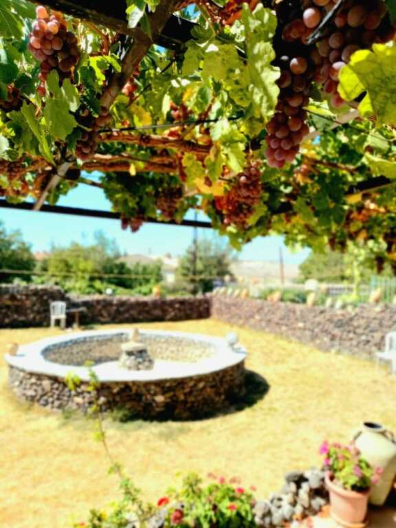 Улашли: Ulaş Cave Otel