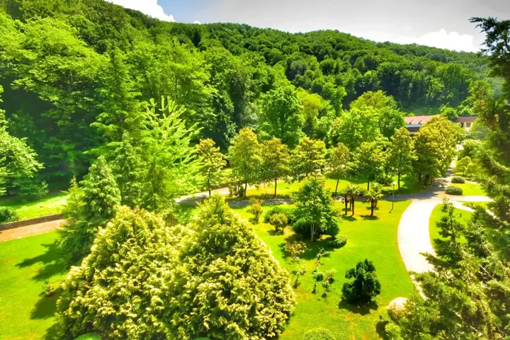 Агой: Апартаменты Saltykov Agoy Resort