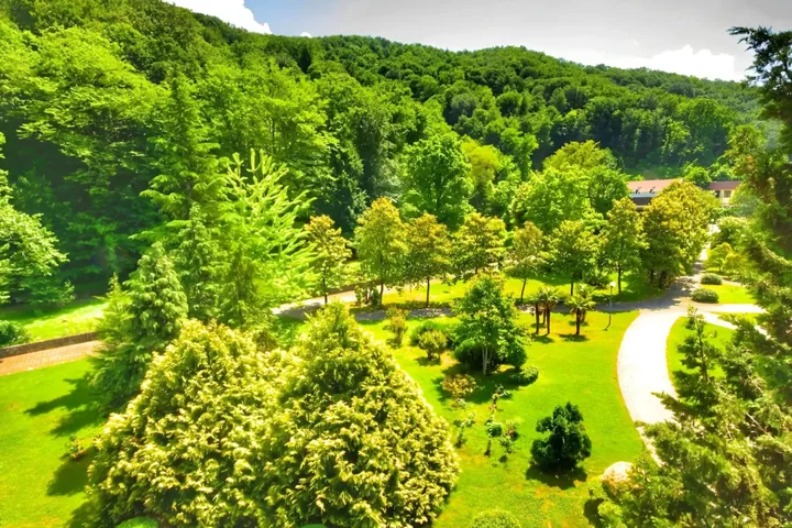 Агой: Апартаменты Saltykov Agoy Resort