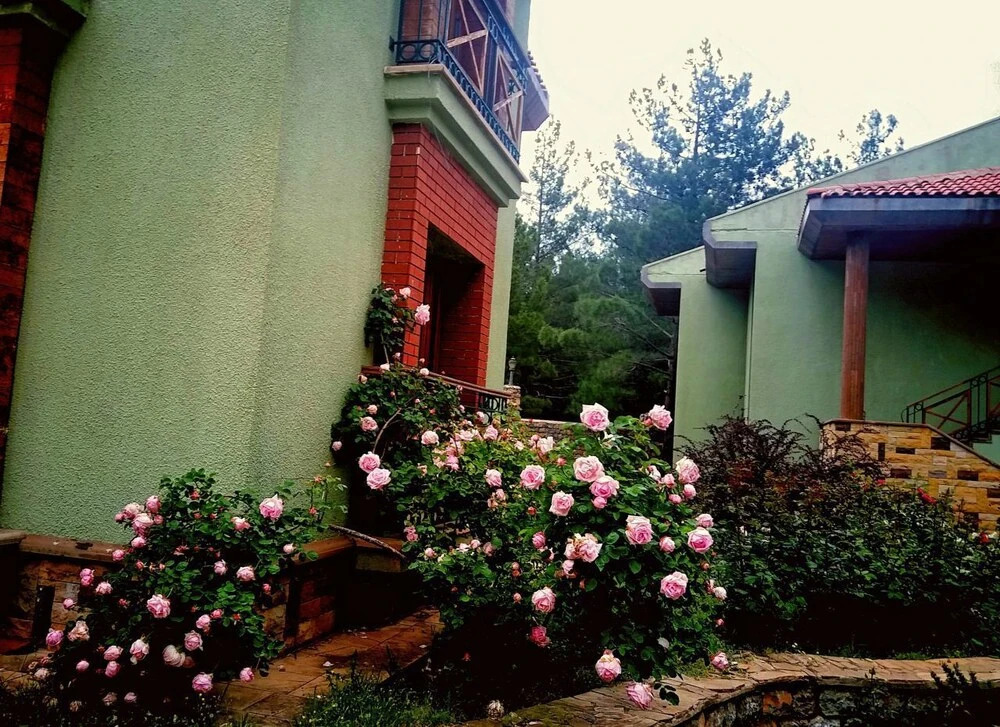 Позанты: Pendosis Tatil Koyu