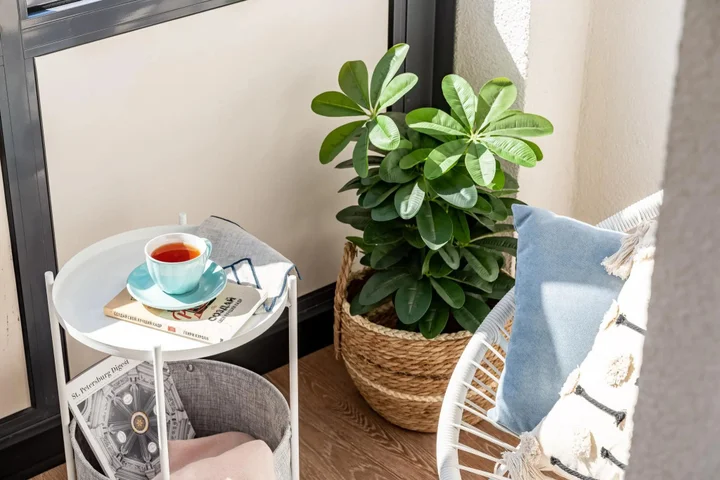 Санкт-Петербург: Апартаменты Merino Home Blueberry (Мерино Хоум Блюберри)