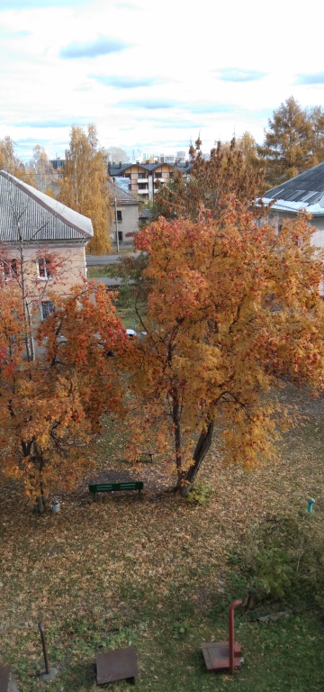 Кемерово: Квартира Пятнашка