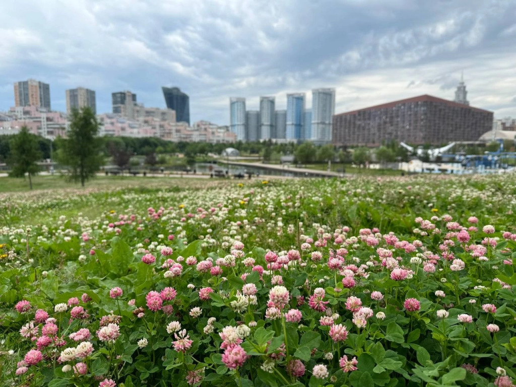 Москва: Апартаменты Lalapart Tenderness с массажной кроватью у метро ЦСКА