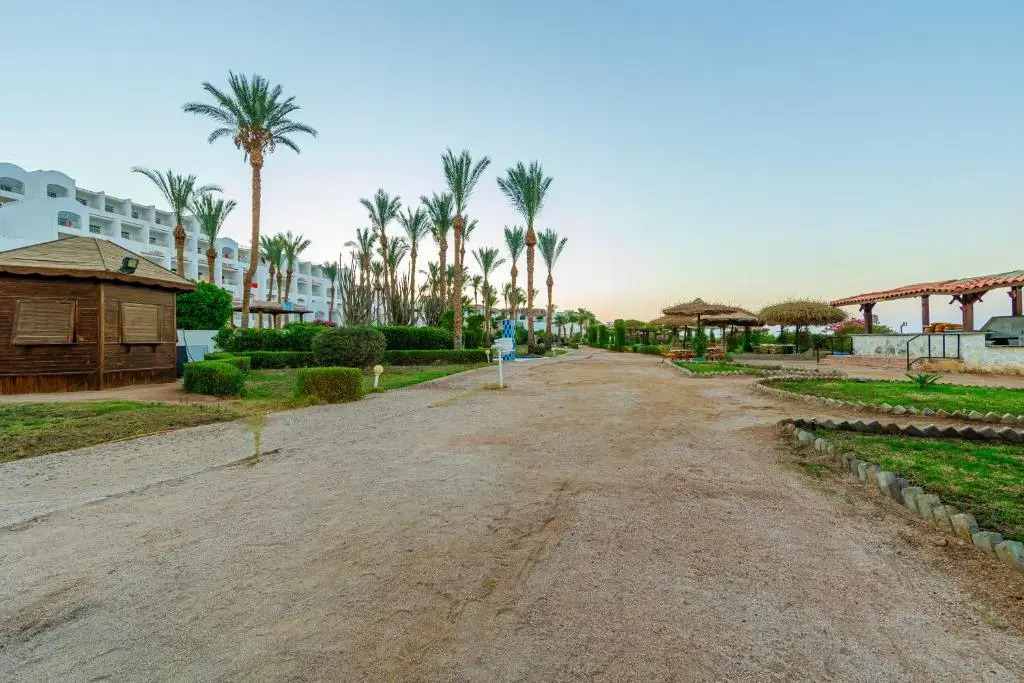 Шарм-эш-Шейх (Шарм-эль-Шейх): Siva Sharm Resort & Spa   Couples And Families Only