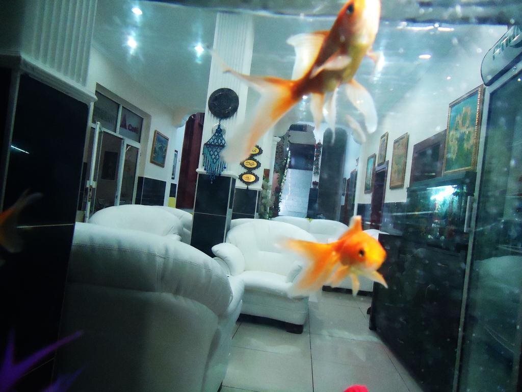 Измир: Vatan Otel