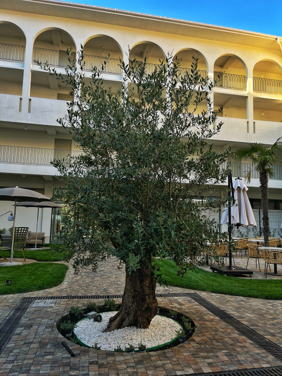 Гечрипш: Отель Portoritsa