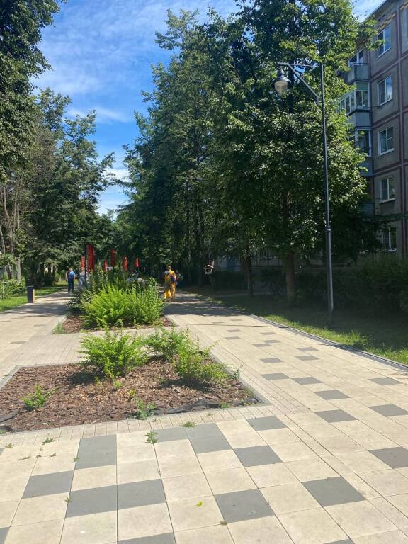 Вологда: Квартира ЭЛИС