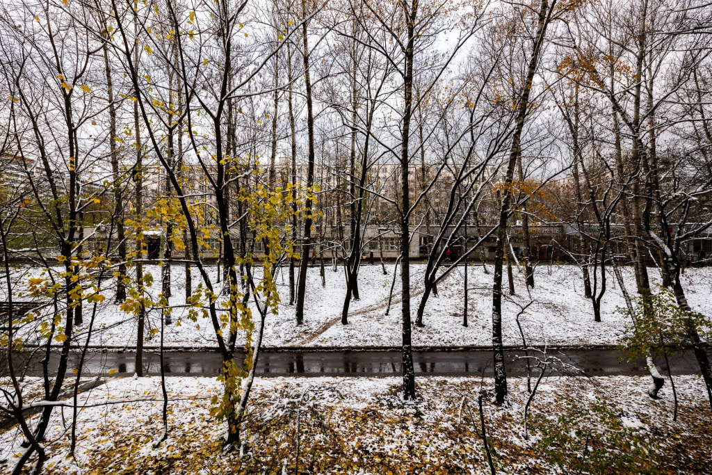 Москва: Квартира Вешняковская 22к2