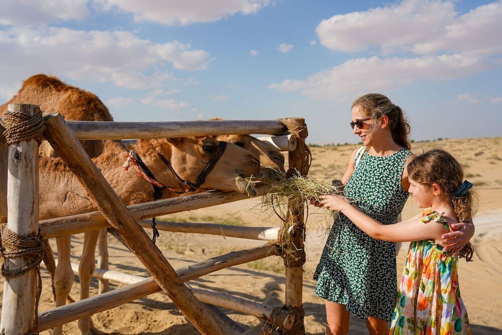 Дубай: Al Marmoom Oasis "Luxury Glamping & Bedouin Experience