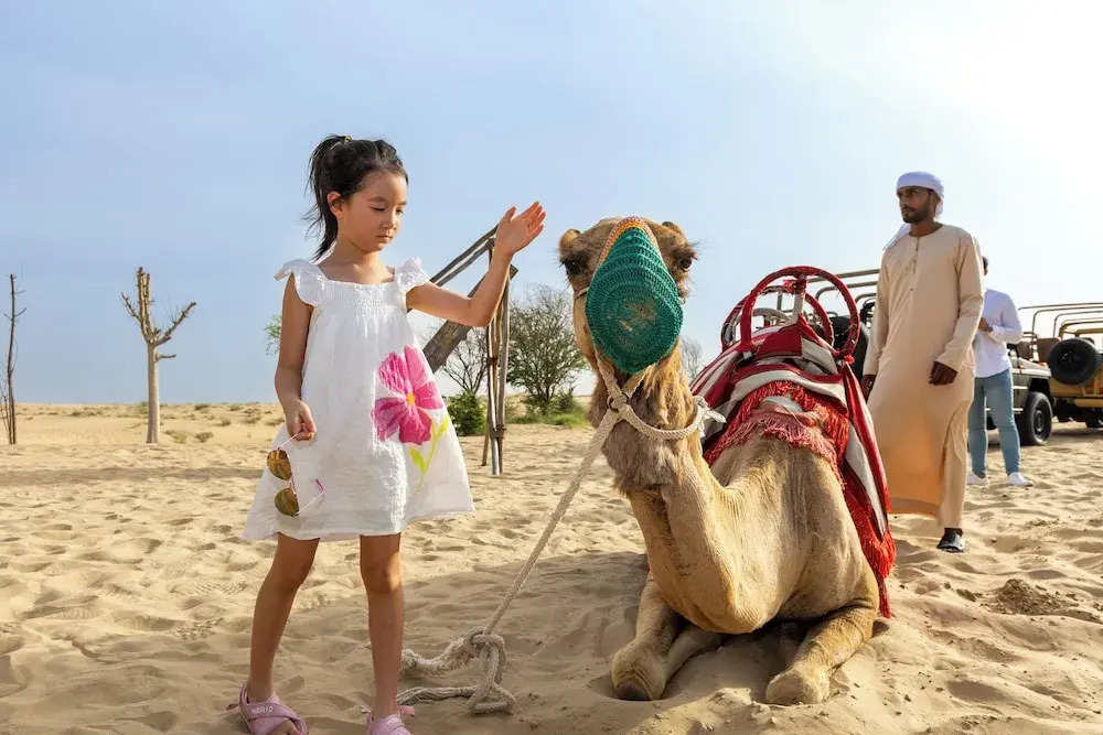 Дубай: Al Marmoom Oasis "Luxury Glamping & Bedouin Experience