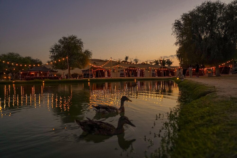 Дубай: Al Marmoom Oasis "Luxury Glamping & Bedouin Experience