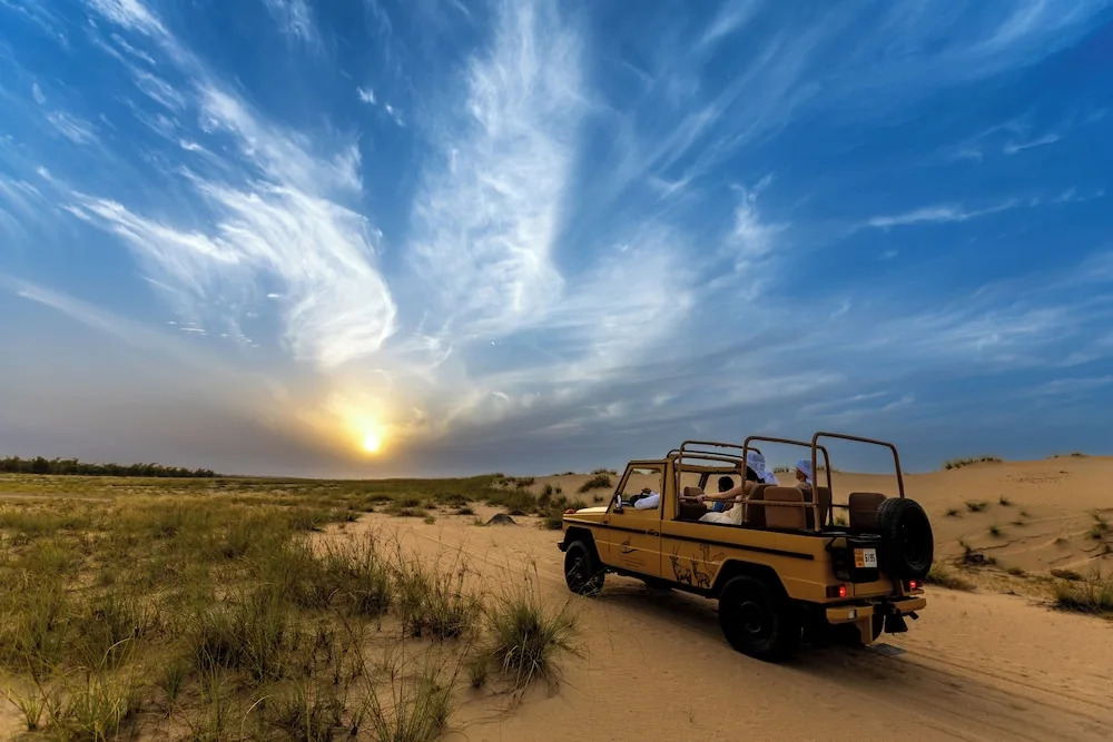 Дубай: Al Marmoom Oasis "Luxury Glamping & Bedouin Experience