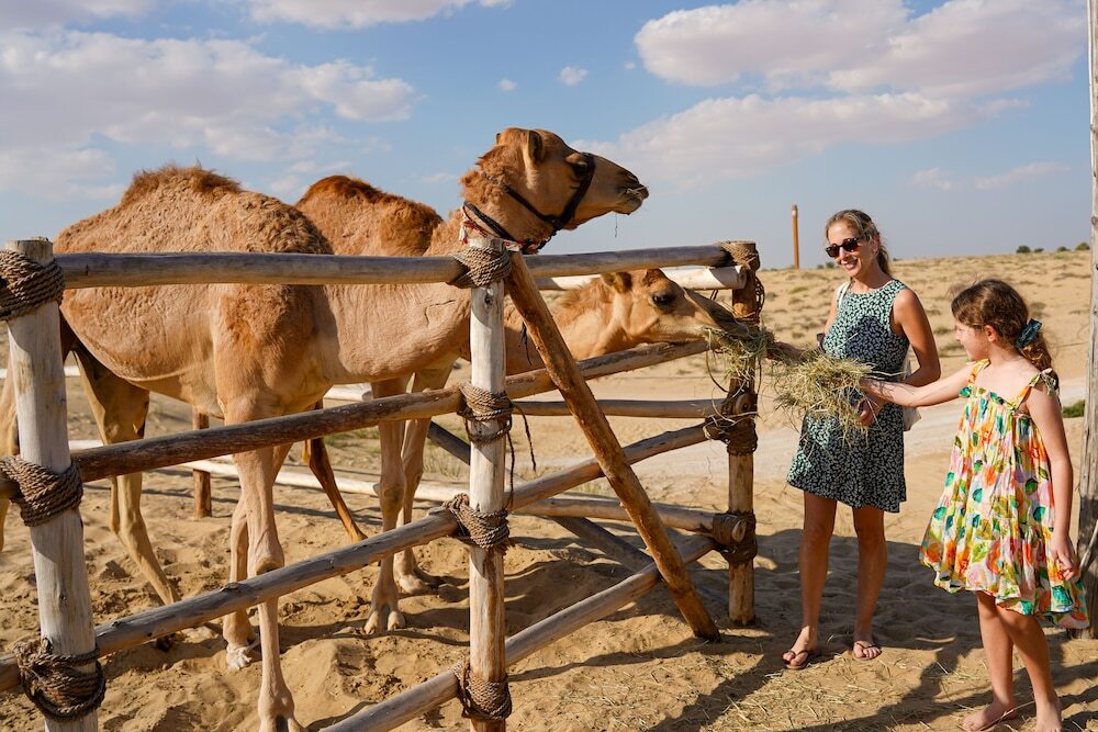 Дубай: Al Marmoom Oasis "Luxury Glamping & Bedouin Experience