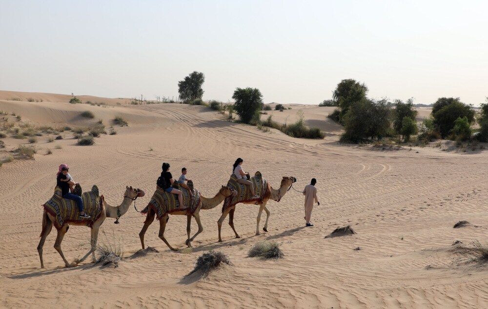 Дубай: Al Marmoom Oasis "Luxury Glamping & Bedouin Experience