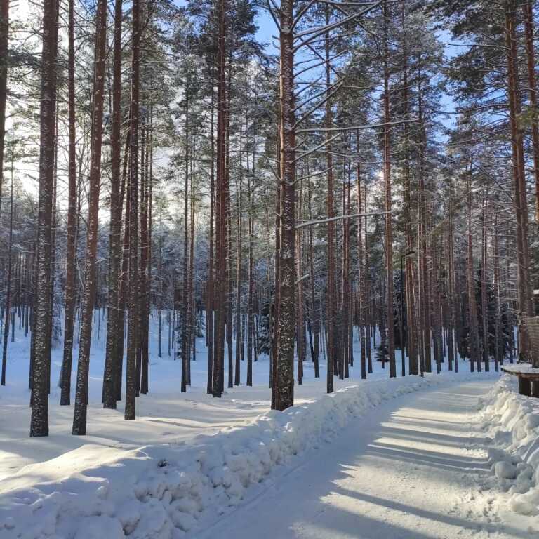 Борисово: Частный дом DavinciApart