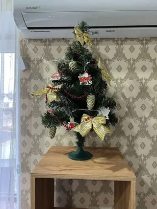 Пятигорск: Квартира на Дмитрия Донского 2А (2)