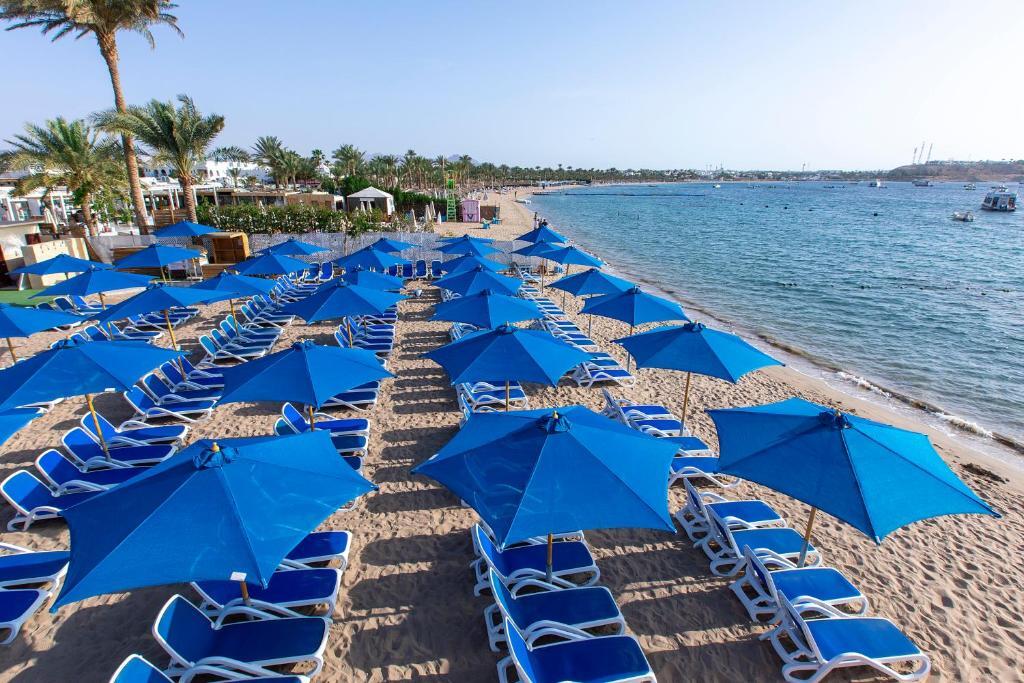 Шарм-эш-Шейх (Шарм-эль-Шейх): Naama Bay