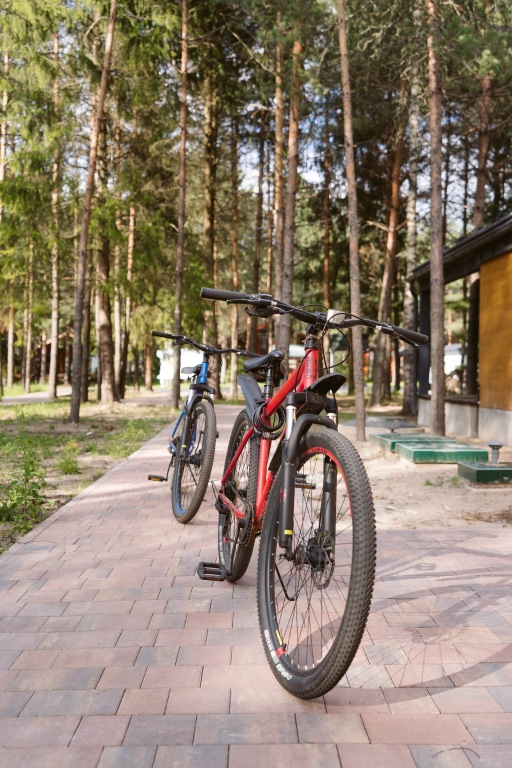 Красный Огорок: База отдыха Дом MERCURIAL Berloga Country Resort