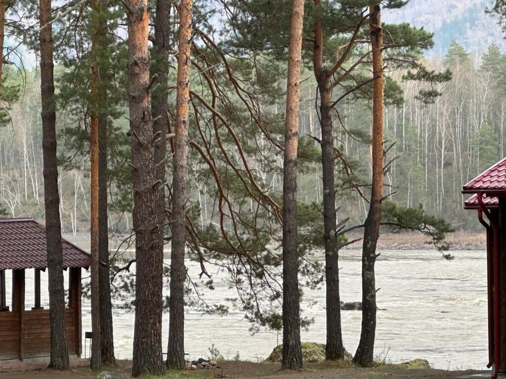 Чемал: Отель Парк-отель Пилот
