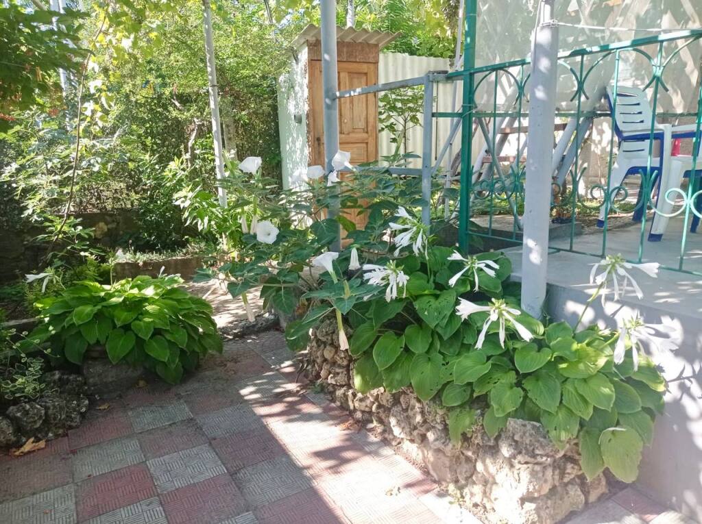 Севастополь: Гостевой дом Семейный отдых у моря