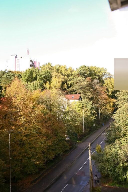 Светлогорск: Квартира Атмосферная с качелями в 5 мин от моря