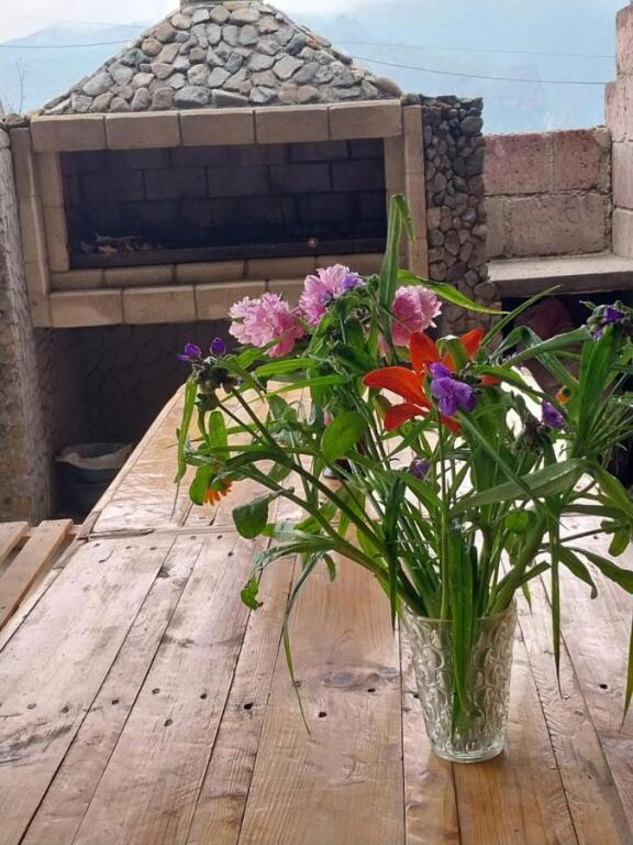 Алаверди: Гостевой дом Gala Guesthouse