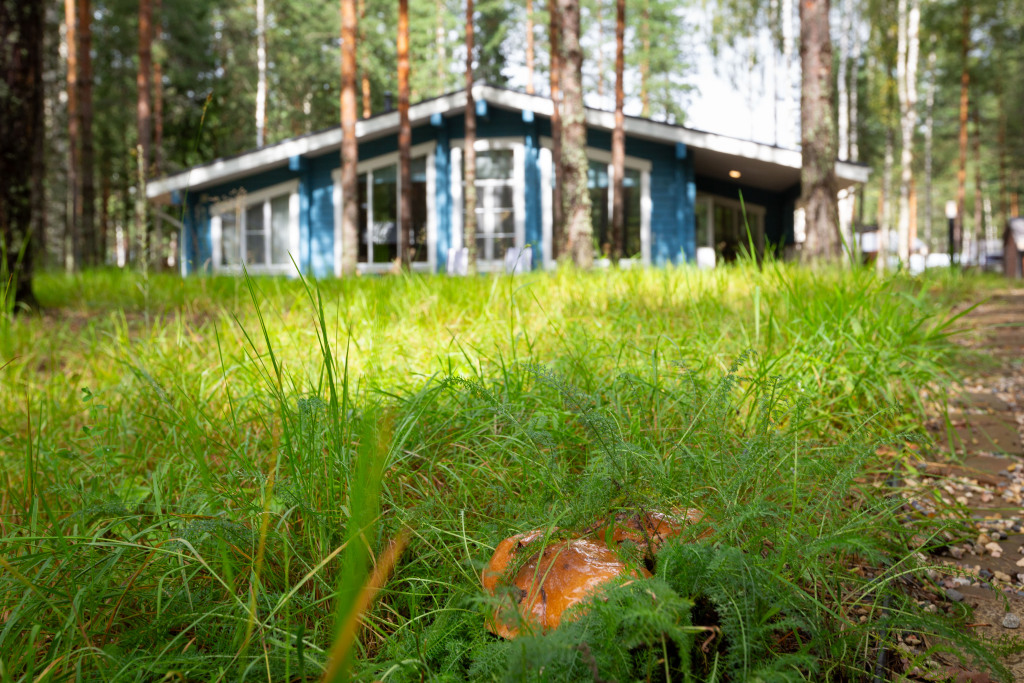 Красный Огорок: База Отдыха Les Holidays Сottage 11