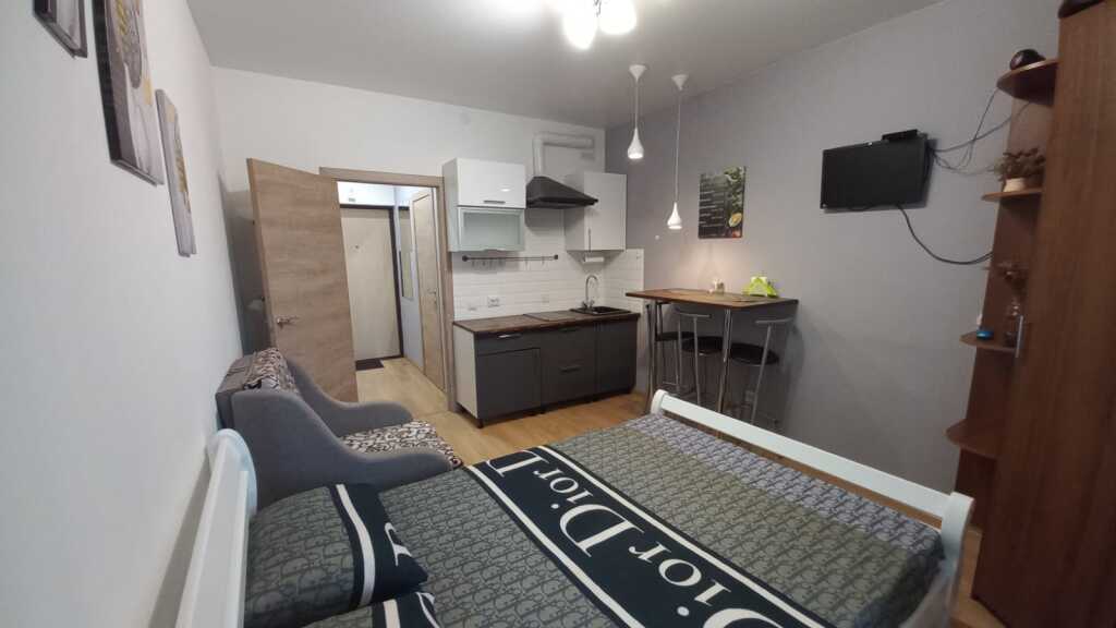Санкт-Петербург: Уютные апартаменты на Пражской
