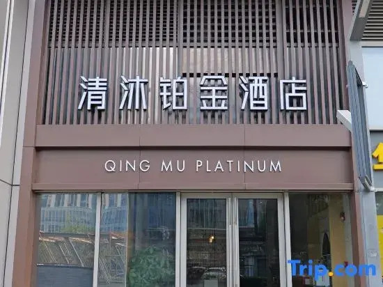 Нанкин: Qingmu Platinum Hotel (Nanjing South Railway Station South Square)